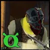 Avatar gamamoacir
