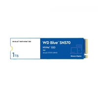 SSD WD Blue SN570 NVMe M.2, 1TB,  PCIe Gen3 x4, NVMe v1.4, Leitura 3500MBs e Gravação 3000MBs, WDS10