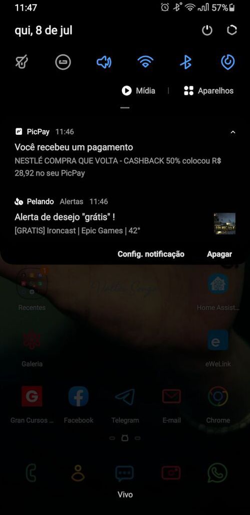 7192728.jpg