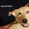 Avatar lokoaospocos