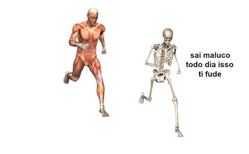 images (1).jpeg