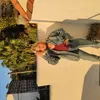 Avatar luiza.martelotte