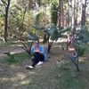 Avatar eliedna.sousa