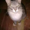 Avatar leonardo.sampaio