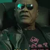 Avatar yankooo
