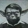 Avatar hb_fd