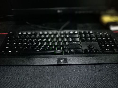 5430679.jpg