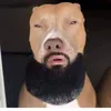Avatar lordpudim