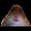 Avatar sulfato_de_potassio