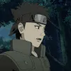 Avatar t_castello