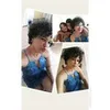 Avatar rosepinheiro