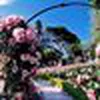 Avatar marlimiyashiro9210