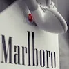 Avatar felipeferreira6916