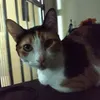 Avatar lenne10