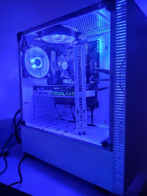5447715.jpg