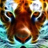 Avatar marciawolgien