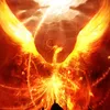 Avatar arcanum777