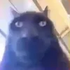 Avatar kurebesu