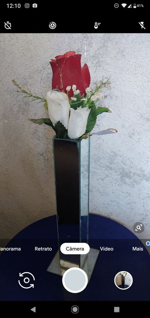 4410146.jpg