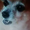 Avatar goof