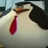 pvcmn