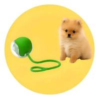 Bola Elétrica Inteligente para Pets - Verde