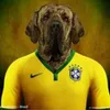 Avatar eterno7a1