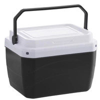 Caixa Térmica Cooler Com Alça Praia Pesca Camping 6 Litros