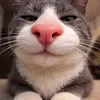 Avatar sanohj