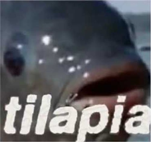 4492824-M4yfB.jpg
