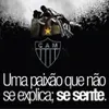 Avatar fflavio1319