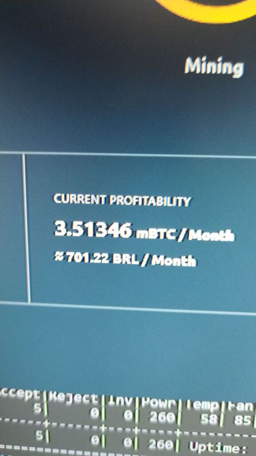 7304374.jpg