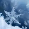 Avatar inverno