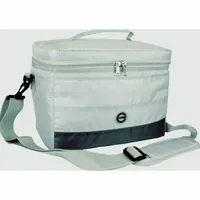 Bolsa Térmica 13.5L COL-02em Poliéster Super Leve e Dobrável Cor Cinza- SP Express