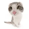 Avatar pedro216