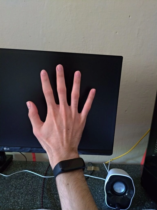 5749854.jpg