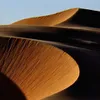 Avatar chocolate_cookie