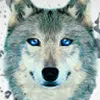 Avatar carlos_eduardo12