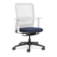 Cadeira Tecton White n Blue