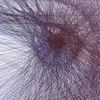 Avatar jprask_
