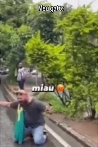 Imagem do comentário