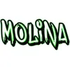 Avatar molina_