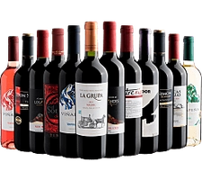 Kit com 12 garrafas de Vinho