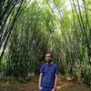 Avatar paulo.juniorjyl