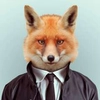 Avatar vulpes