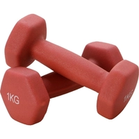 [AME SC R$ 5] Par de Halteres 1kg Emborrachado Rosa - Life Zone