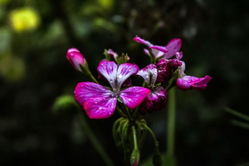 4056730-0Y0WA.jpg