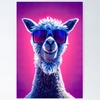 Avatar alpacadasofertas