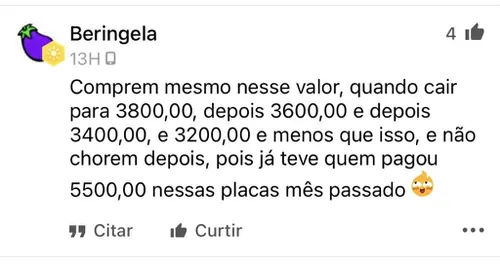 7295861.jpg