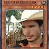 Avatar leonardogebrin